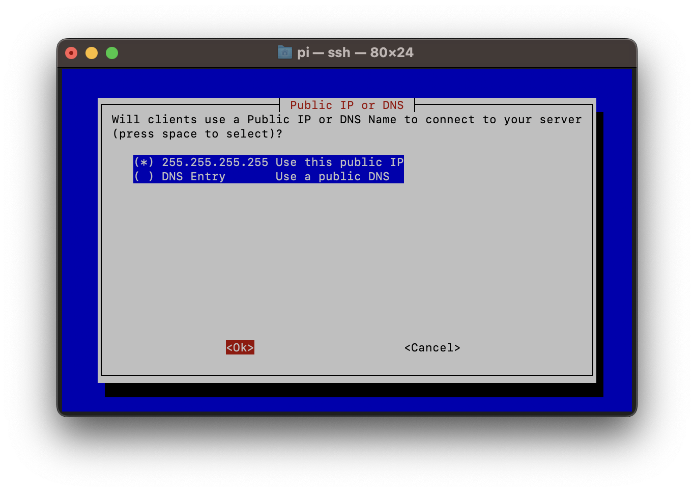Public IP or DNS